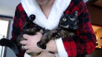 Lancehardin  19-11-2021 video toy